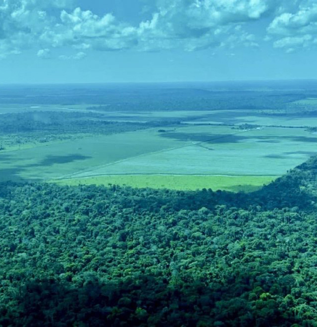 Rondônia tem alta de 450% em desmatamento em um ano, aponta Imazon
