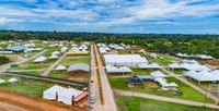  Assembleia prioriza ações que fortalecem o agronegócio durante Rondônia Rural Show