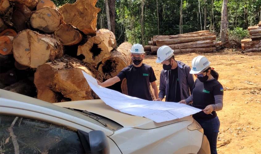 Planos de Manejo Florestal da Sedam garantem colheita florestal e reforçam a economia local