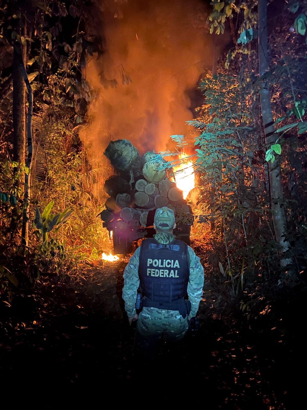 Caminhão com madeira precisou ser destruído — Foto: PF/Reprodução