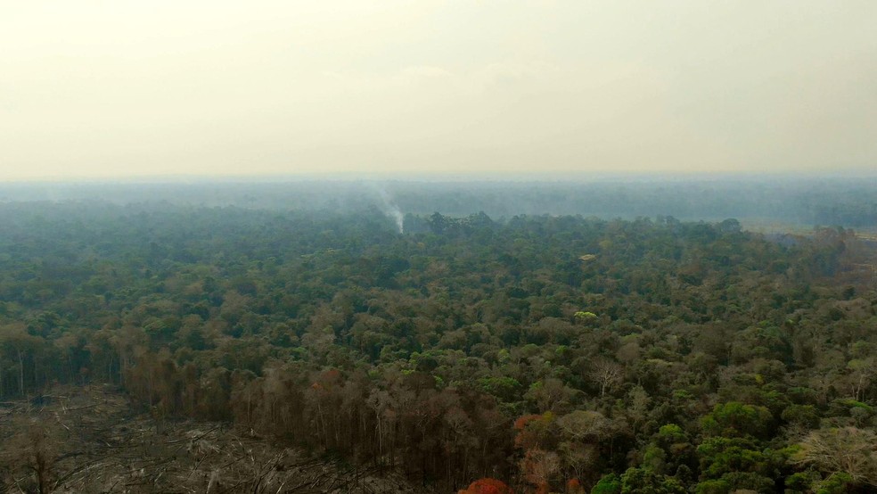 Uru-Eu-Wau-Wau passa por 12 municípios do estado — Foto: Reprodução/TV Globo