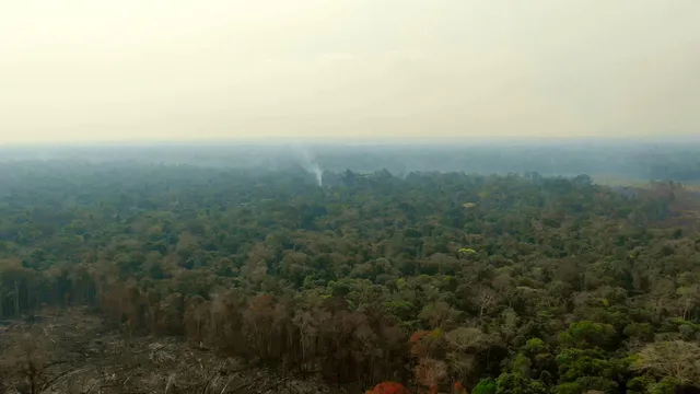 Uru-Eu-Wau-Wau passa por 12 municípios do estado — Foto: Reprodução/TV Globo