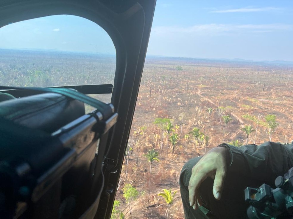 PF flagra desmatamento na Terra Indígena Zoró — Foto: PF/Divulgação