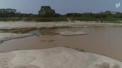 Imagens mostram bancos de areia gigantes no rio Madeira em Porto Velho