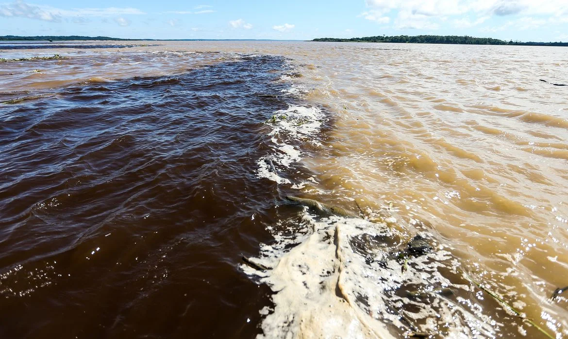 Encontro das águas dos rios Negro e Solimões, em Manaus (Marcelo Camargo/Agência Brasil)