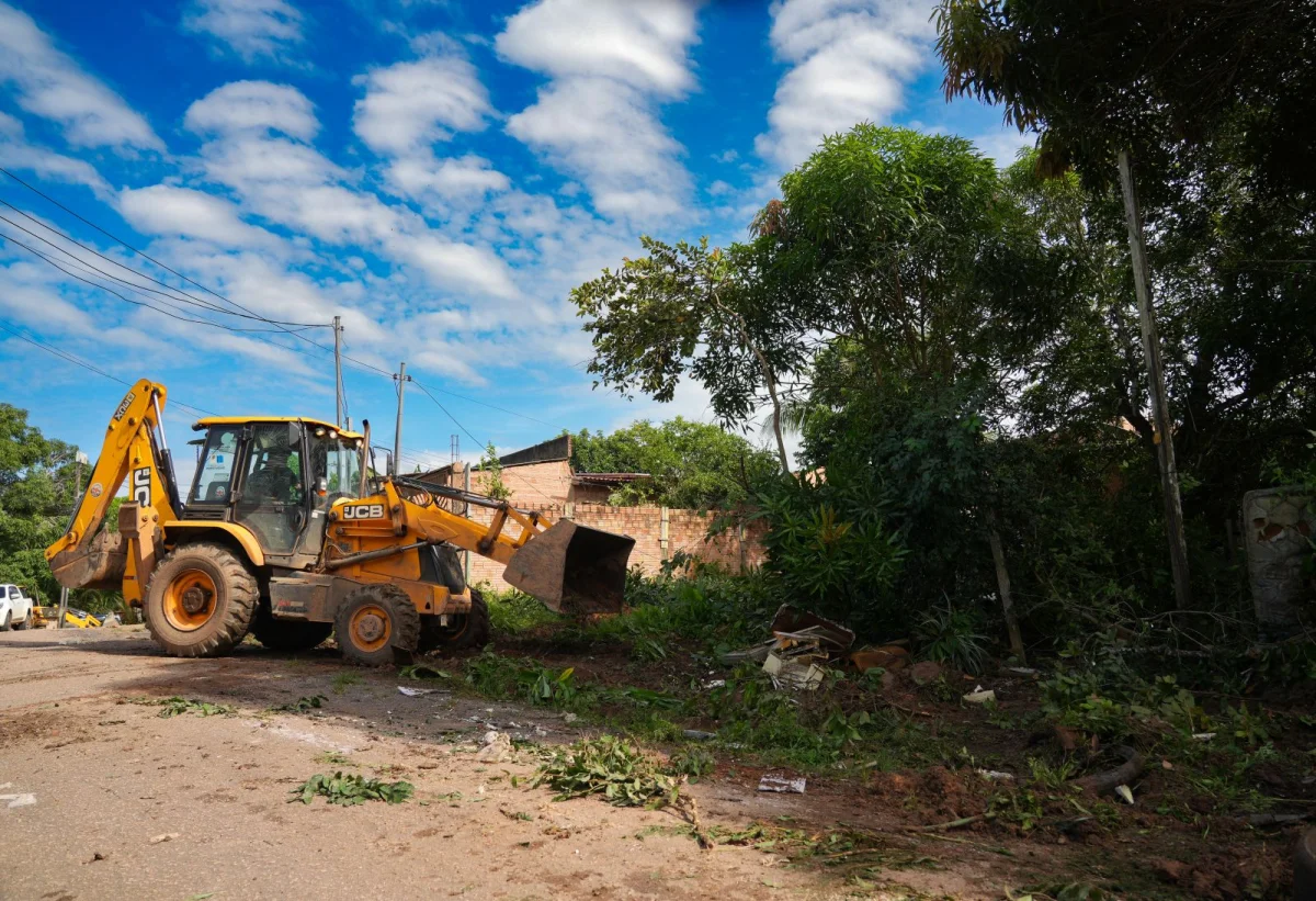 O local acumulava pneus, móveis antigos, entulhos diversos, além de matagal e árvores