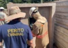 Furto de energia causa perdas superiores a R$ 200 milhões em arrecadação de impostos em Rondônia