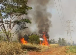 Energisa alerta para riscos das queimadas próximas à rede elétrica e reforça orientações de segurança em Rondônia