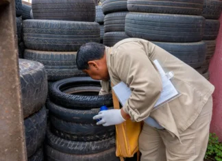 Casos de dengue caem em 2026, mas combate ao mosquito continua essencial